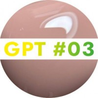 GPT #03