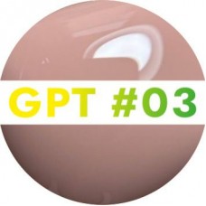 GPT #03