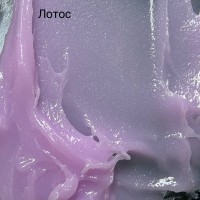 Lotos | POLYMER GEL