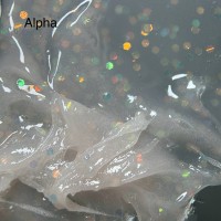 Alpha | POLYMER GEL
