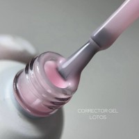 CORRECTOR GEL | Lotos