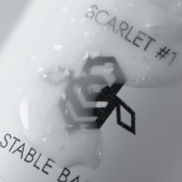 STABLE BASE	 | Scarlet #1